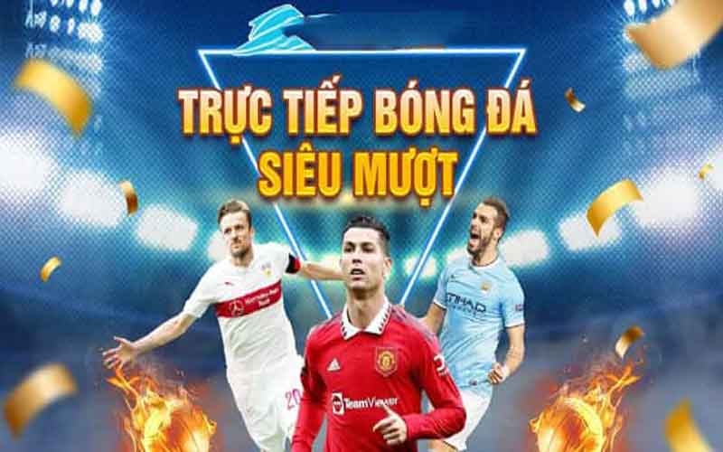 trực tiếp bóng đá shbet